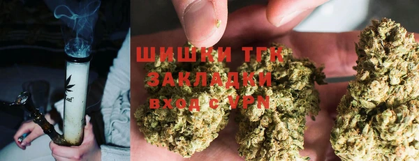 гашик Лагань