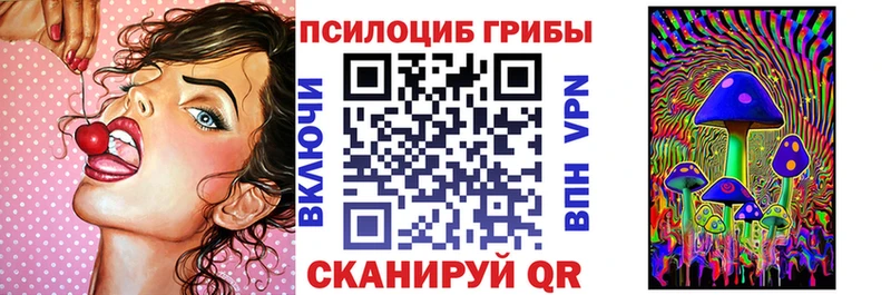 Галлюциногенные грибы MAGIC MUSHROOMS  Купить  Неман 