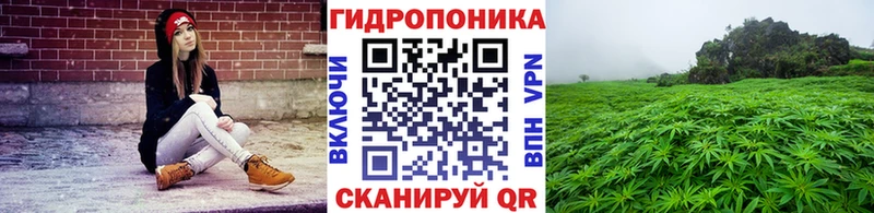 Купить закладки  Неман  Бошки Шишки Amnesia 